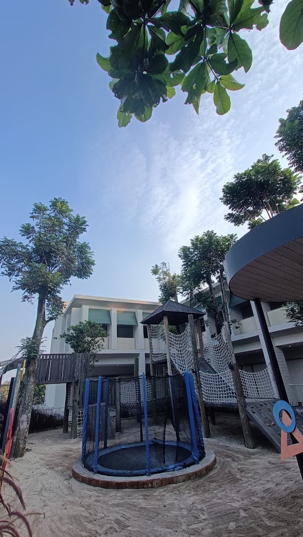 Papila Kids Club