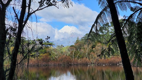 Mt Taranaki Lookout 3