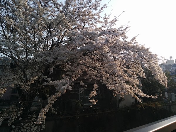 Nakai 3