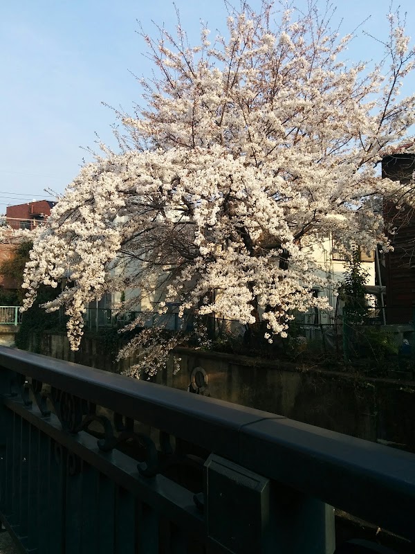 Nakai 2