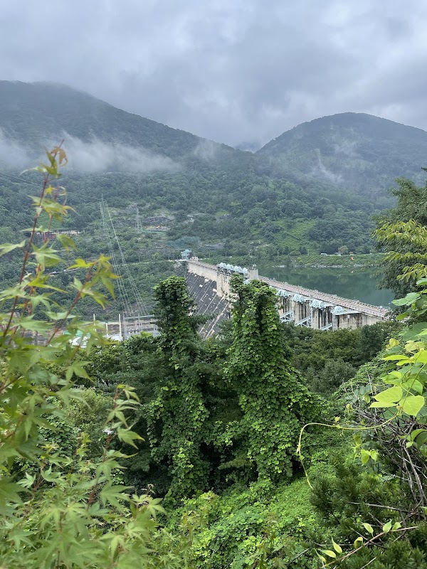 충주호 2