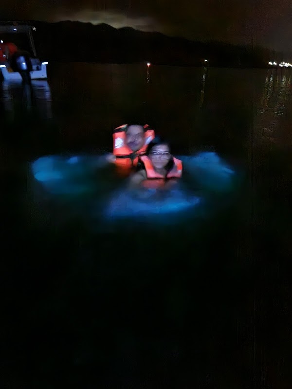 Bioluminiscencia Laguna Manialtepec