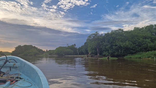 Bioluminiscencia Laguna Manialtepec 3
