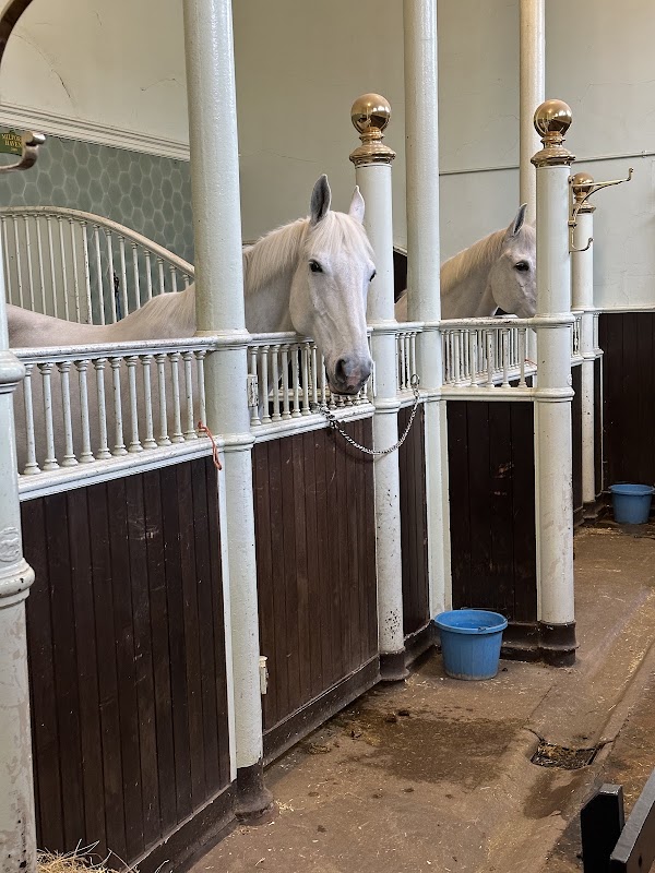 The Royal Mews, Buckingham Palace 2