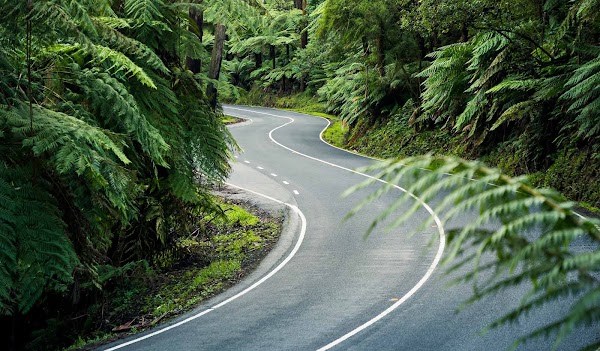 Black Spur Drive