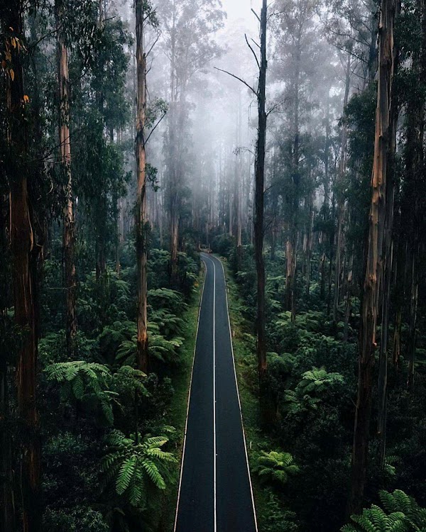 Black Spur Drive 3