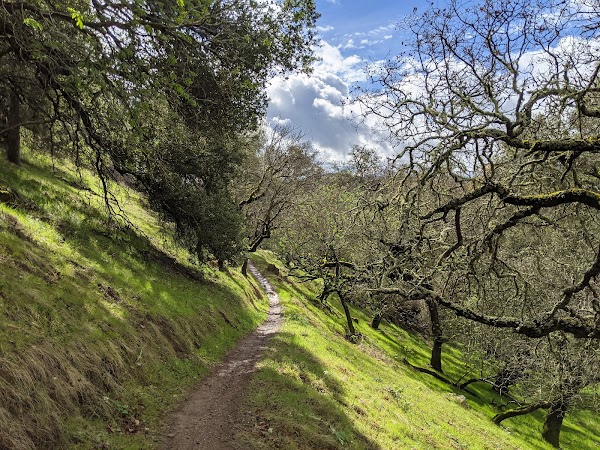 Moore Creek Park 5