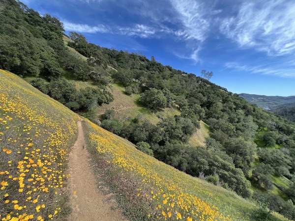 Moore Creek Park 3