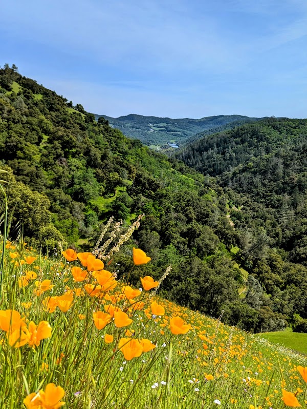 Moore Creek Park 2
