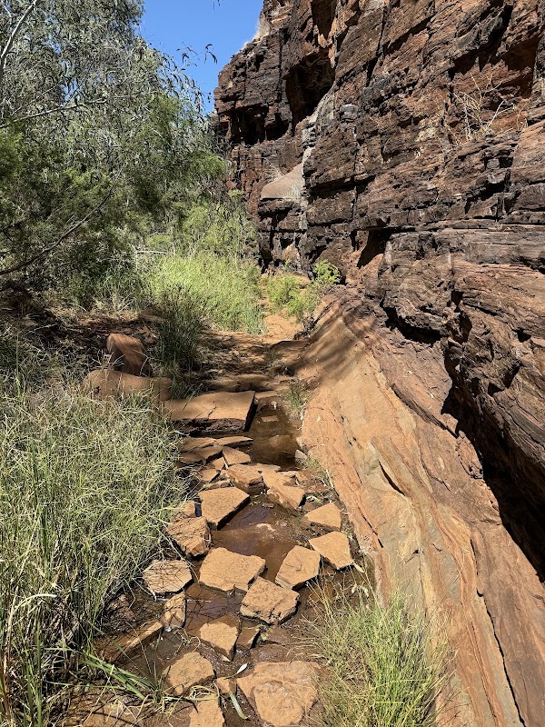 Dales Gorge 5