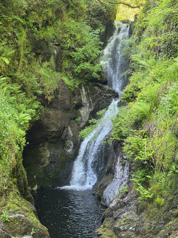 Glenariff Waterfalls & Forest Park