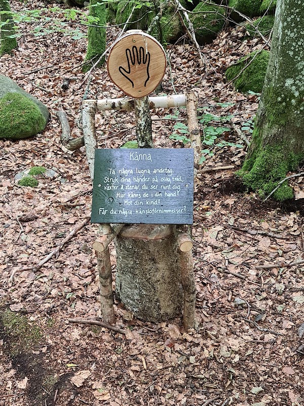 Bockeboda strövområde, P Uddarp 1