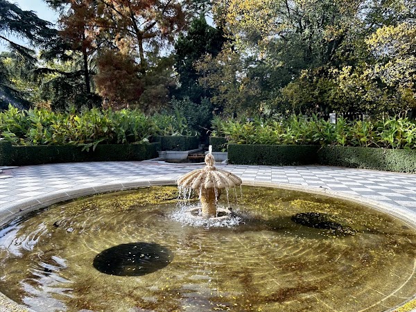 Cecilio Rodríguez Garden 4