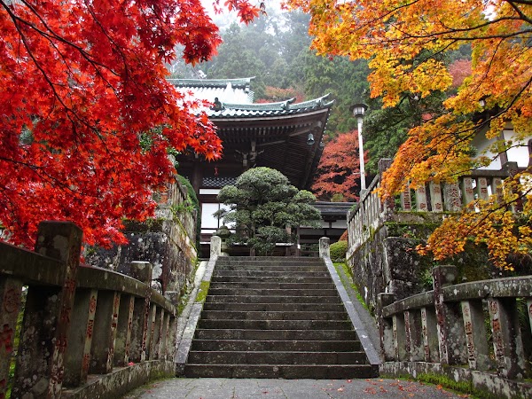 Daiyuzan Saijoji Temple 3