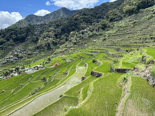 Batad Rice Terraces 1