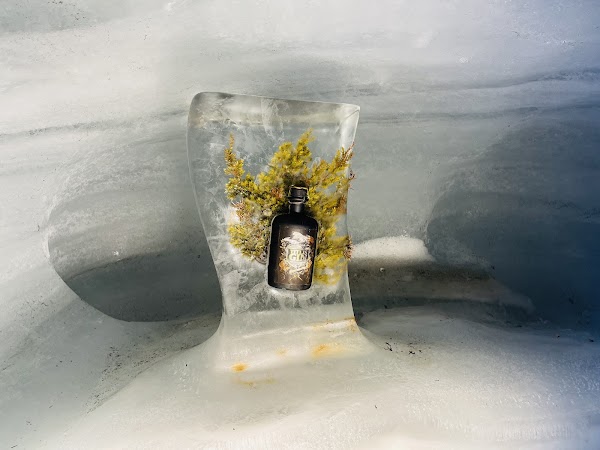 Titlis Glacier Cave 3