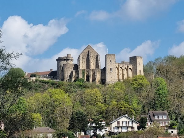 Château de la Madeleine 1