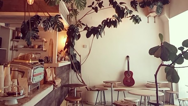 Bio Cafe Blütezeit
