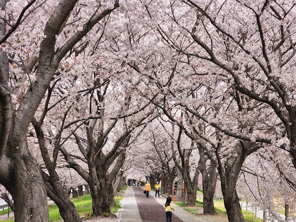 Maekdo Ecological Park