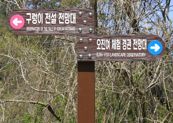 오진여 전망대