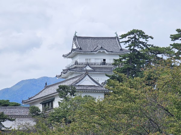 Odawara Castle 5