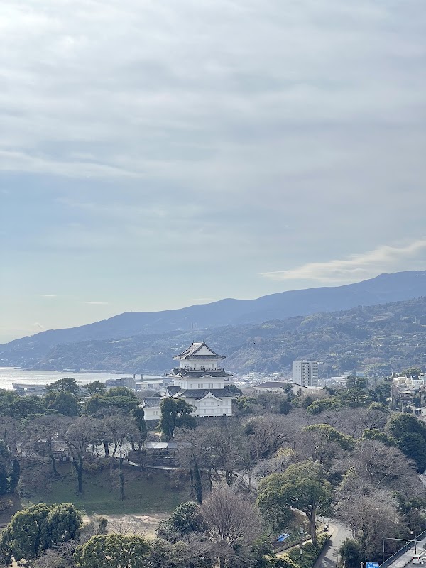 Odawara Castle 3