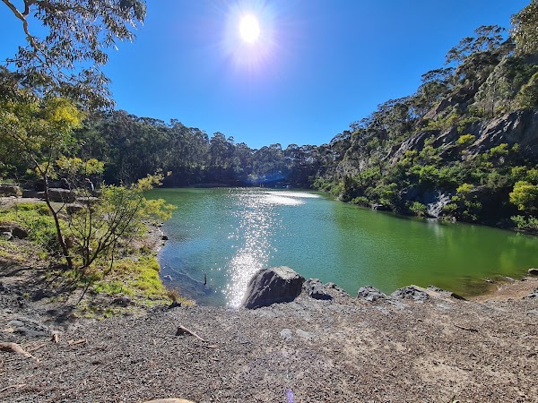 Yellow Gum Park