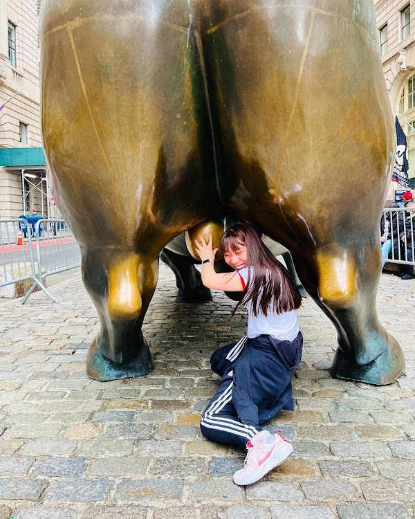 Charging Bull 5