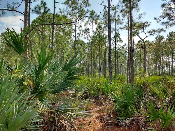 Tibet-Butler Nature Preserve 4
