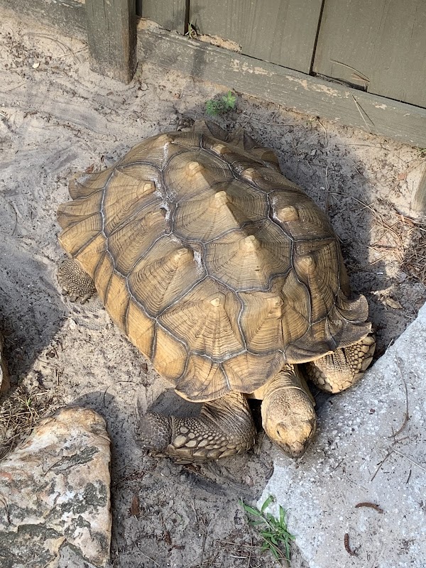 Tibet-Butler Nature Preserve 2