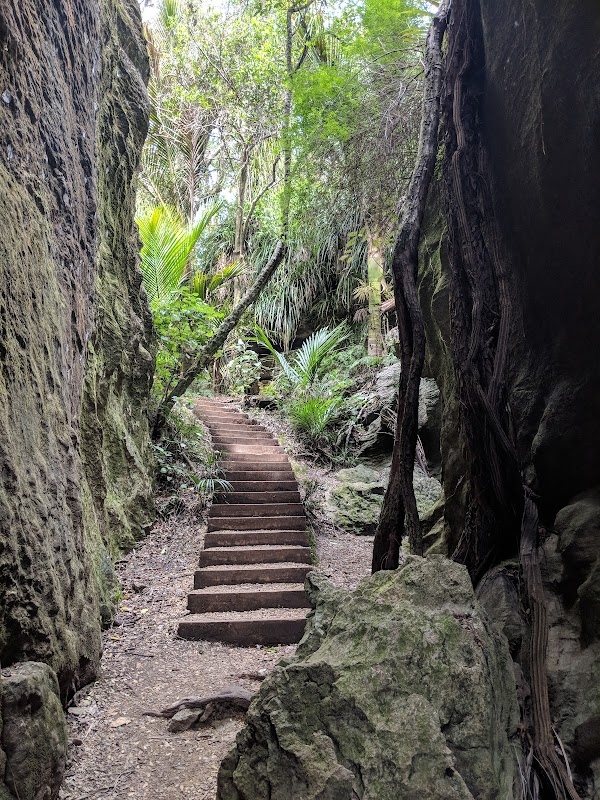 The Grove Scenic Reserve 1