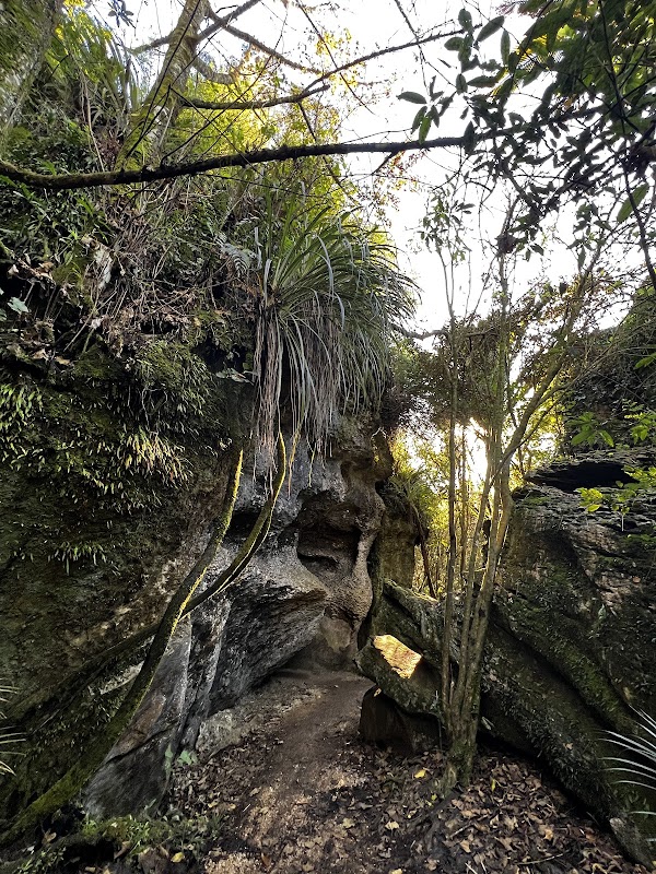 The Grove Scenic Reserve 4