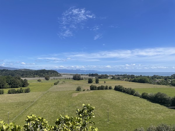 The Grove Scenic Reserve 2