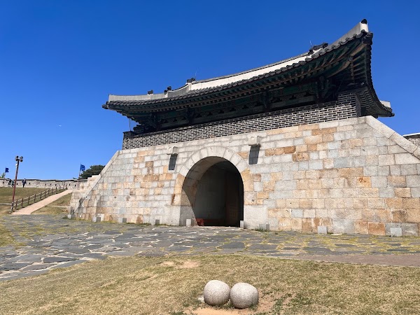 Cherry Blossom 🌸 38