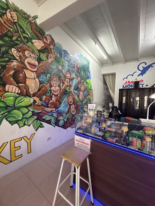 Jumping monkey Dispensary 5
