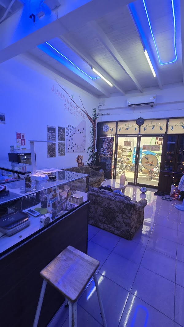 Jumping monkey Dispensary 3