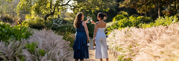 Matanzas Creek Winery 1