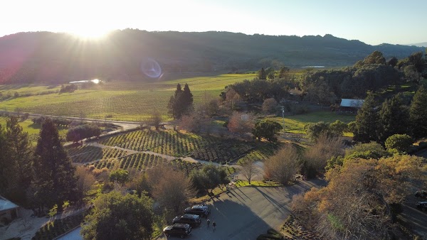 Matanzas Creek Winery 2