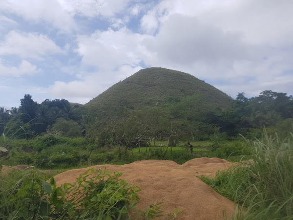 Bohol