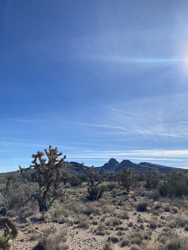Castle Mountains National Monument