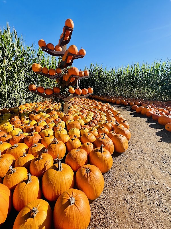 Taves Farms 4