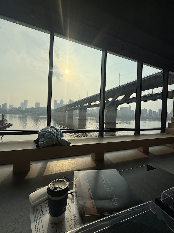 바이닐 한강(Vinyl Han-River) 4