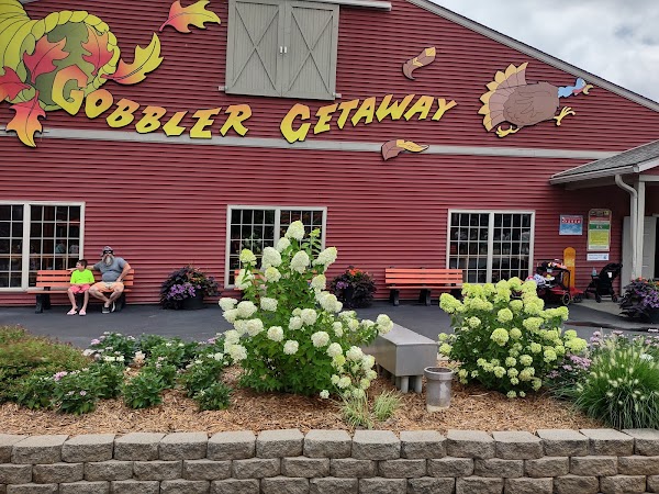 Gobbler Getaway 1