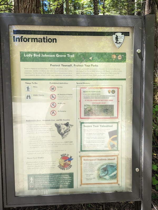 Lady Bird Johnson Grove Trail 3