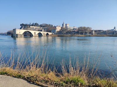 Pont Saint-Benezet (Le Pont d'Avignon)