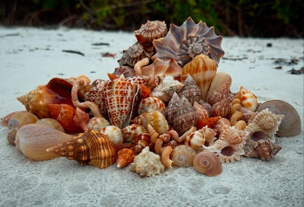 Everwater Charters & Tours
