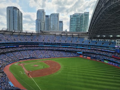 Toronto's Urban Symphony: A Full-Day Exploration of Iconic Landmarks