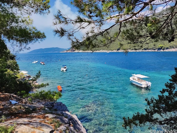 Luštica 3