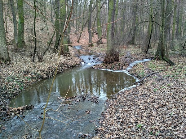 Kunratice Brook Valley 1