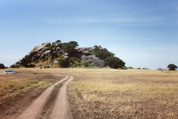 Serengeti 1